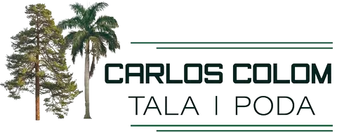 Carlos Colom Tala i Poda